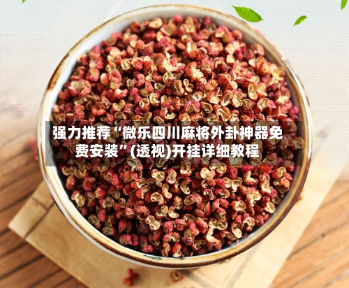 强力推荐“微乐四川麻将外卦神器免费安装	”(透视)开挂详细教程-第2张图片