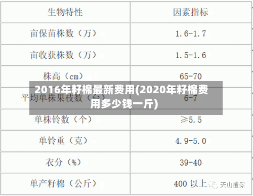 2016年籽棉最新费用(2020年籽棉费用多少钱一斤)