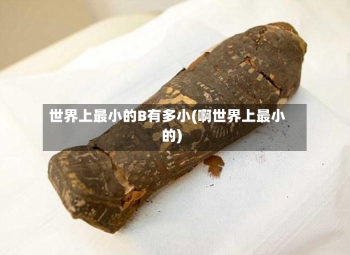 世界上最小的B有多小(啊世界上最小的)