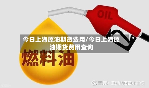 今日上海原油期货费用/今日上海原油期货费用查询