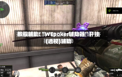 教程辅助!“WEpoker辅助器	”开挂(透视)辅助-第2张图片