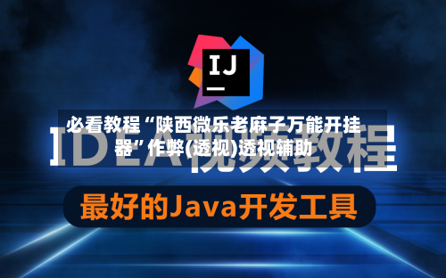 必看教程“陕西微乐老麻子万能开挂器”作弊(透视)透视辅助