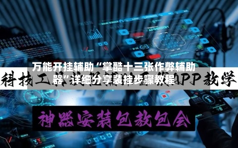 万能开挂辅助“掌酷十三张作弊辅助器”详细分享装挂步骤教程-第3张图片