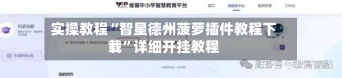 实操教程“智星德州菠萝插件教程下载	”详细开挂教程-第2张图片