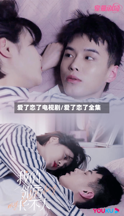 爱了恋了电视剧/爱了恋了全集