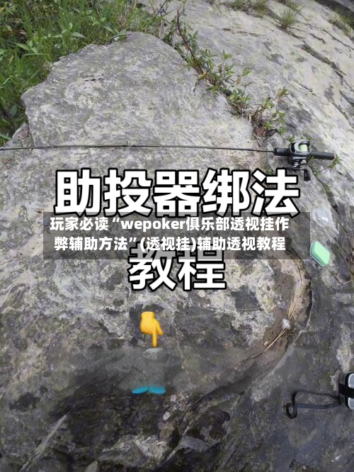 玩家必读“wepoker俱乐部透视挂作弊辅助方法”(透视挂)辅助透视教程-第3张图片