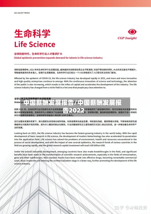中国薪酬发展报告/中国薪酬发展报告2022