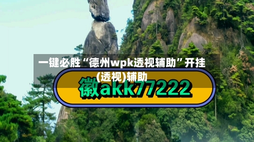 一键必胜“德州wpk透视辅助”开挂(透视)辅助