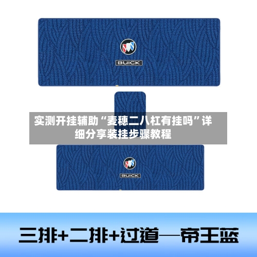 实测开挂辅助“麦穗二八杠有挂吗”详细分享装挂步骤教程