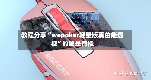 教程分享“wepoker轻量版真的能透视”的确是有挂-第3张图片