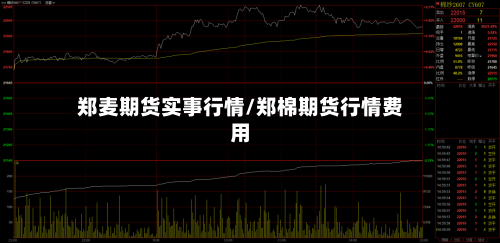 郑麦期货实事行情/郑棉期货行情费用