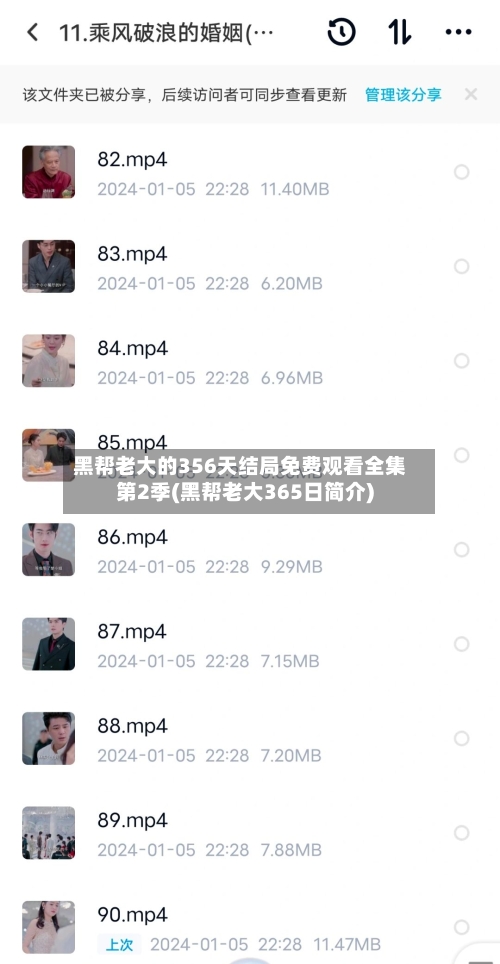 黑帮老大的356天结局免费观看全集第2季(黑帮老大365日简介)