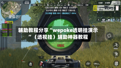 辅助教程分享“wepoke透明挂演示”（透视挂）辅助神器教程-第2张图片