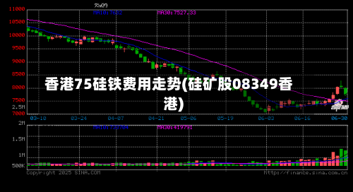 香港75硅铁费用走势(硅矿股08349香港)-第2张图片
