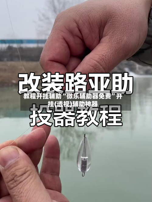 教程开挂辅助“微乐辅助器免费”开挂(透视)辅助神器-第2张图片