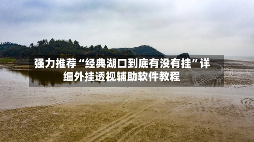 强力推荐“经典湖口到底有没有挂”详细外挂透视辅助软件教程-第3张图片