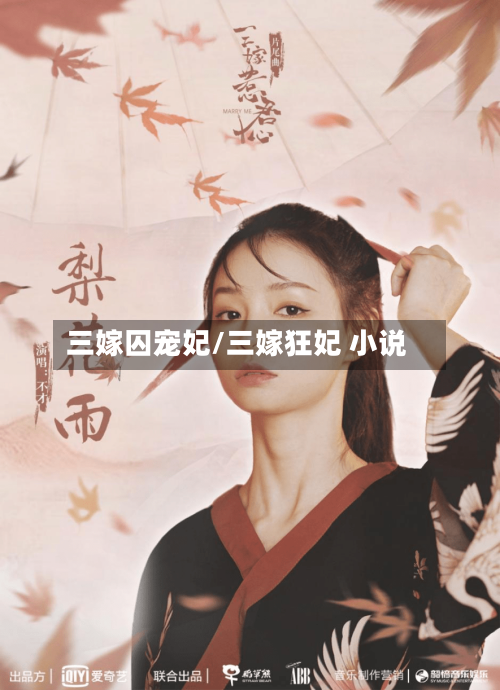 三嫁囚宠妃/三嫁狂妃 小说