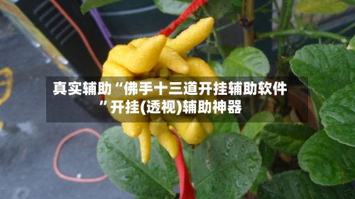 真实辅助“佛手十三道开挂辅助软件”开挂(透视)辅助神器