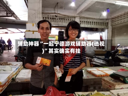 辅助神器“一起宁德游戏辅助器(透视)”其实确实有挂-第2张图片