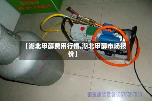 【湖北甲醇费用行情,湖北甲醇市场报价】