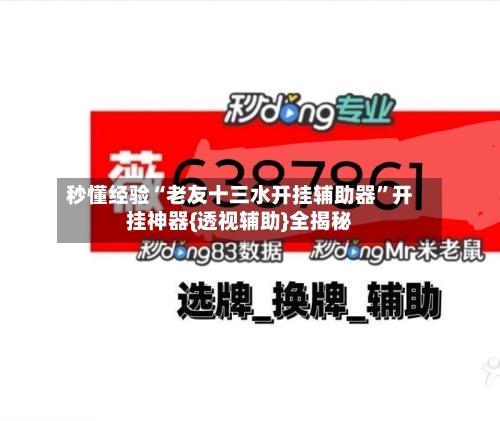 秒懂经验“老友十三水开挂辅助器	”开挂神器{透视辅助}全揭秘-第2张图片