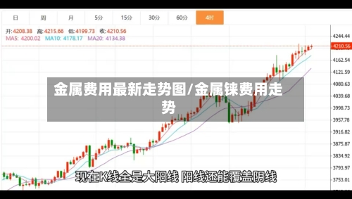 金属费用最新走势图/金属铼费用走势-第2张图片