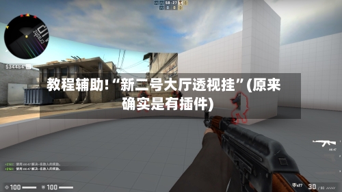 教程辅助!“新二号大厅透视挂”(原来确实是有插件)-第3张图片