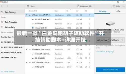 最新一款“白金岛跑胡子辅助软件”开挂辅助脚本+详细开挂-第3张图片