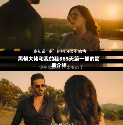黑帮大佬和我的我365天第一部的简单介绍