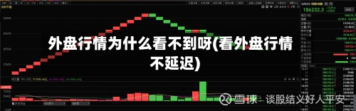 外盘行情为什么看不到呀(看外盘行情不延迟)