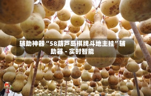 辅助神器“58葫芦岛棋牌斗地主挂	”辅助器 - 实时智能-第2张图片