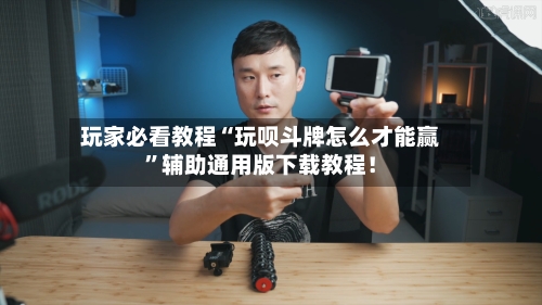 玩家必看教程“玩呗斗牌怎么才能赢	”辅助通用版下载教程！-第2张图片