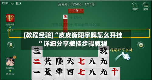 [教程经验]“皮皮衡阳字牌怎么开挂	”详细分享装挂步骤教程-第3张图片
