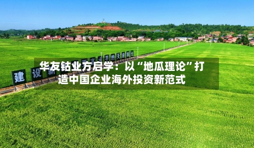 华友钴业方启学：以“地瓜理论	”打造中国企业海外投资新范式-第2张图片