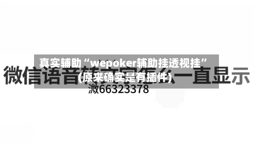 真实辅助“wepoker辅助挂透视挂”(原来确实是有插件)-第2张图片