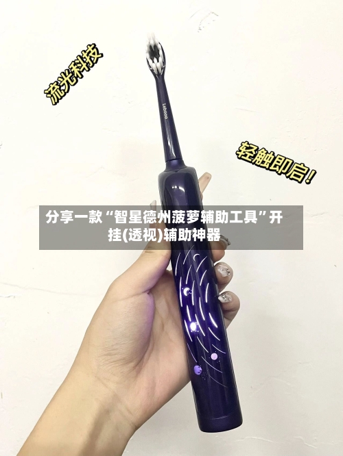 分享一款“智星德州菠萝辅助工具”开挂(透视)辅助神器-第2张图片