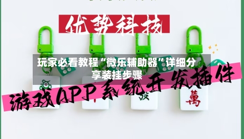 玩家必看教程“微乐辅助器”详细分享装挂步骤-第3张图片