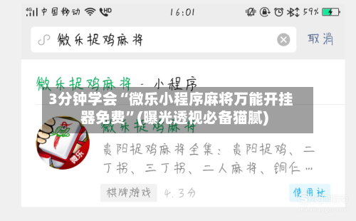 3分钟学会“微乐小程序麻将万能开挂器免费”(曝光透视必备猫腻)-第2张图片