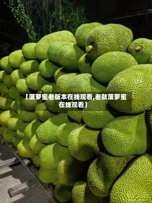 【菠萝蜜老版本在线观看,老款菠萝蜜在线观看】