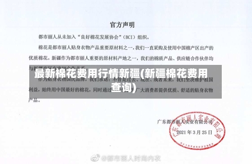 最新棉花费用行情新疆(新疆棉花费用查询)