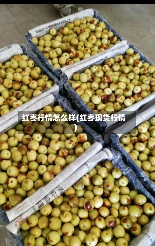红枣行情怎么样(红枣现货行情)-第2张图片