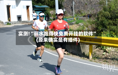 实测!“丽水跑得快免费开挂的软件”(原来确实是有插件)-第2张图片