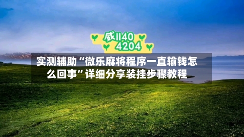 实测辅助“微乐麻将程序一直输钱怎么回事”详细分享装挂步骤教程-第3张图片
