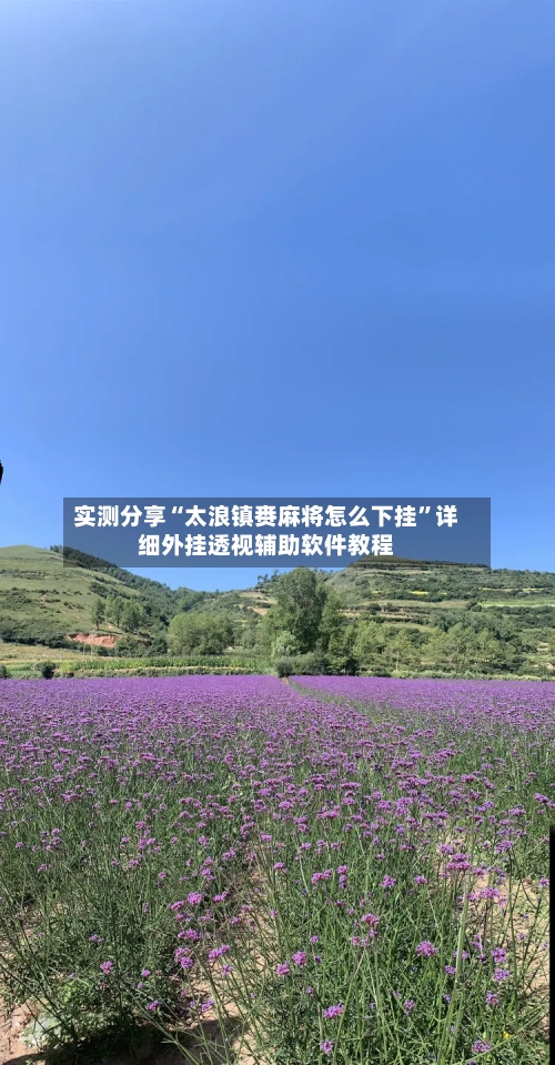 实测分享“太浪镇赉麻将怎么下挂”详细外挂透视辅助软件教程-第3张图片