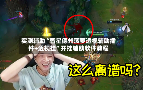 实测辅助“智星德州菠萝透视辅助插件+透视挂	”开挂辅助软件教程-第2张图片