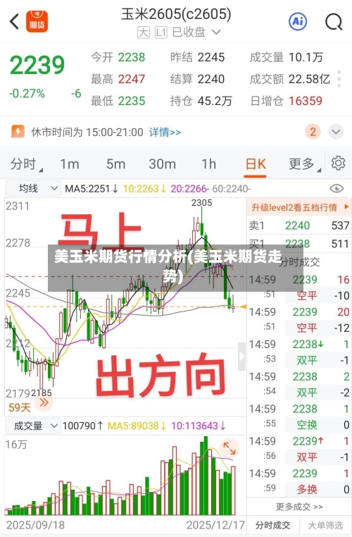 美玉米期货行情分析(美玉米期货走势)
