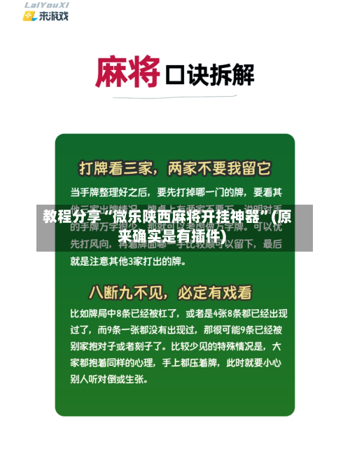 教程分享“微乐陕西麻将开挂神器	”(原来确实是有插件)-第3张图片