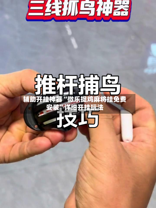 辅助开挂神器“微乐捉鸡麻将挂免费安装”详细开挂玩法-第2张图片