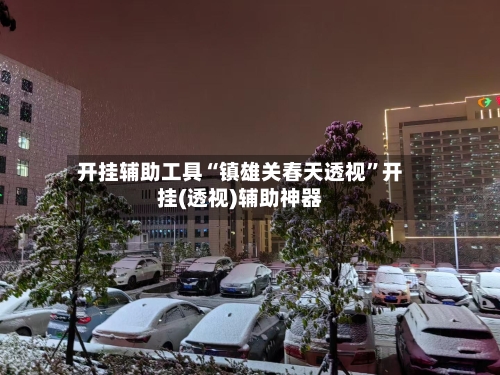 开挂辅助工具“镇雄关春天透视”开挂(透视)辅助神器-第2张图片