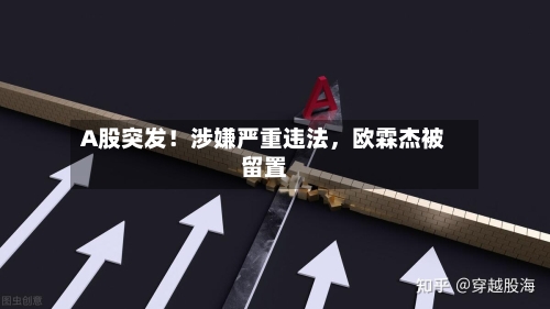 A股突发！涉嫌严重违法，欧霖杰被留置-第2张图片